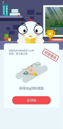 小鸡农场