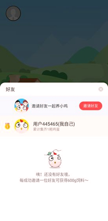 小鸡农场