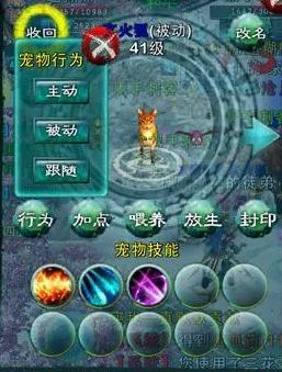 忘仙开先天技巧