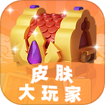 皮肤大玩家