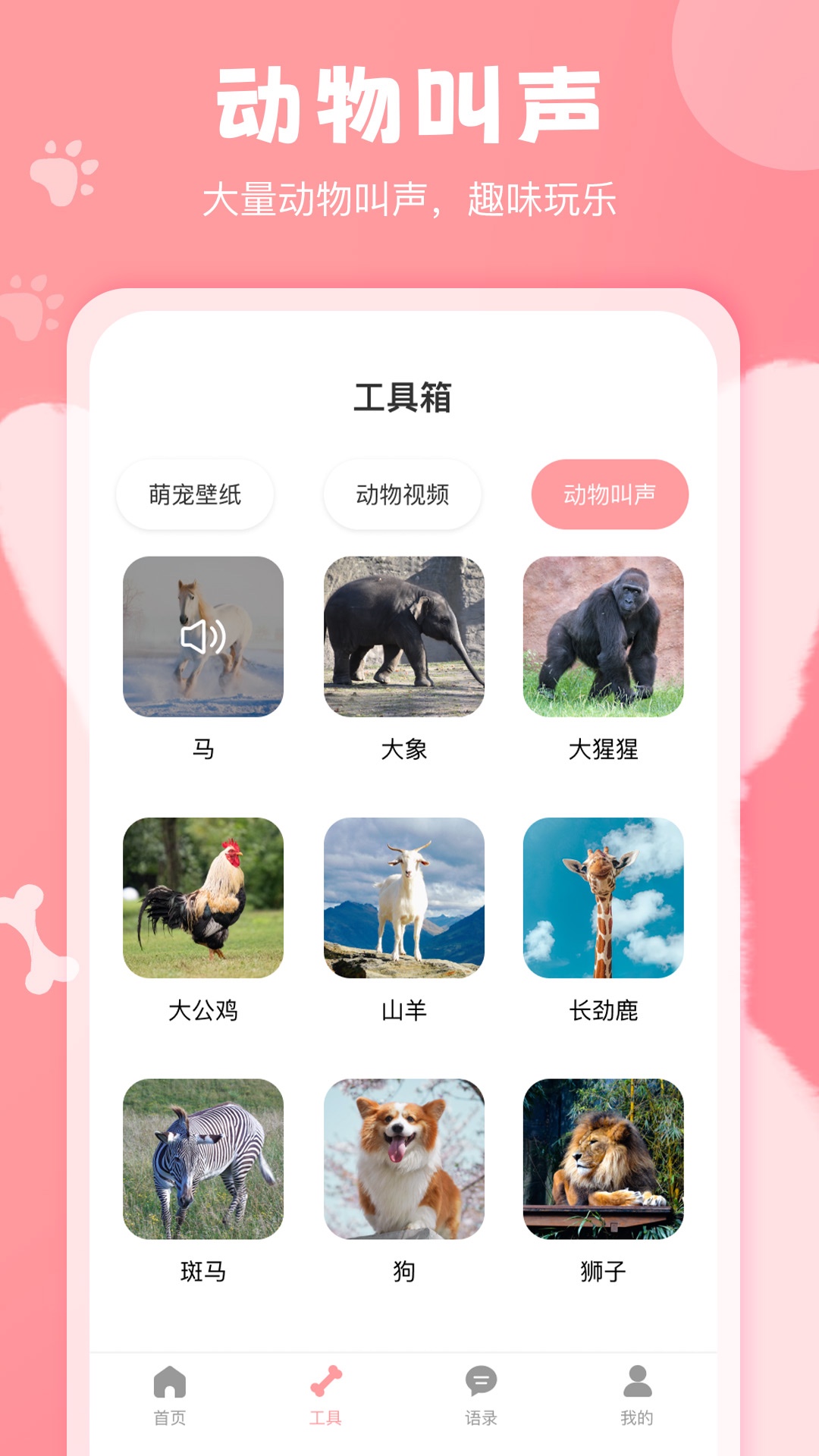 美易狗语翻译器
