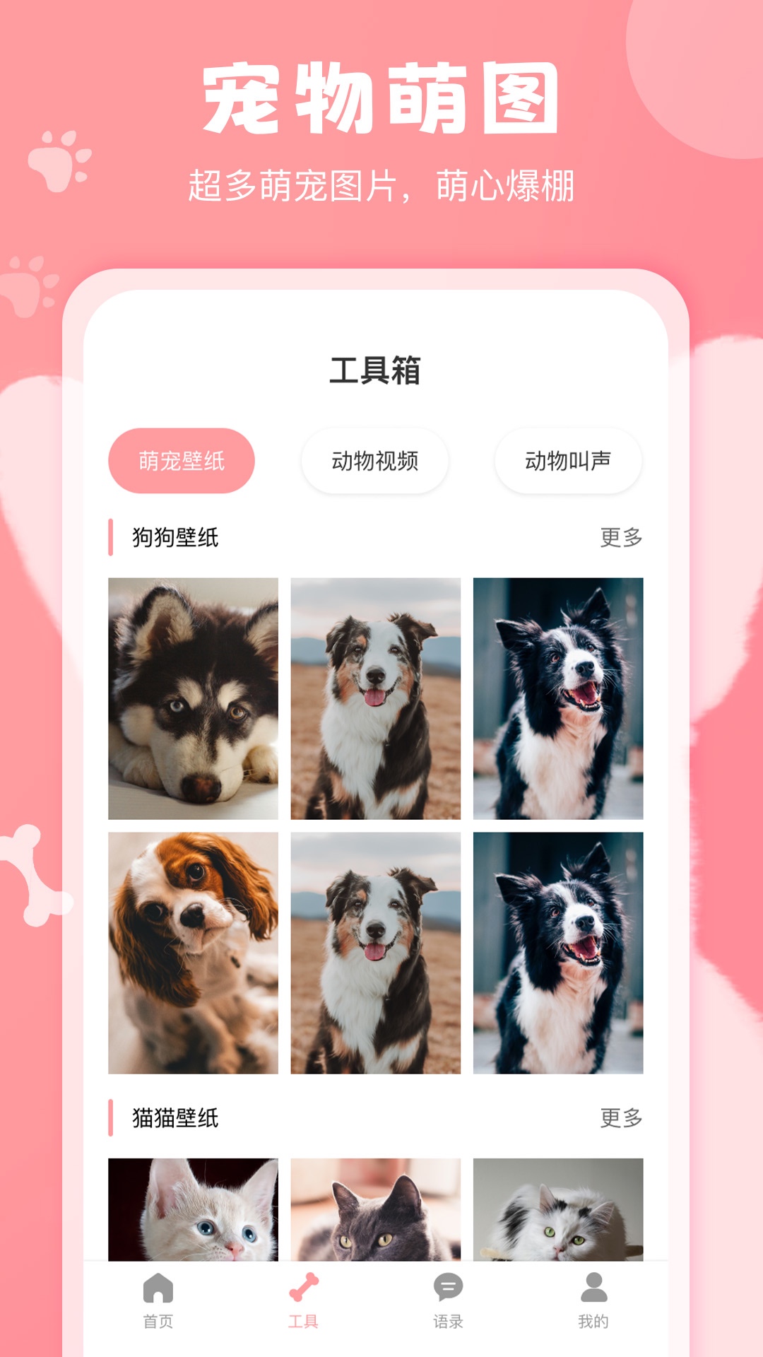 美易狗语翻译器