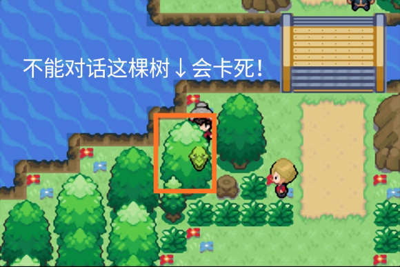 怎么从口袋妖怪火红的新手村离开