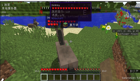 我的世界仆从召唤之杖怎样才能有效发挥作用