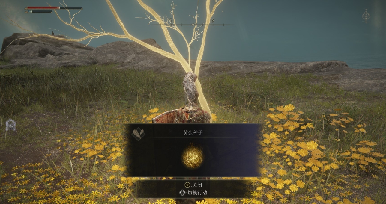 艾尔登法环御剑飞行怎么获得